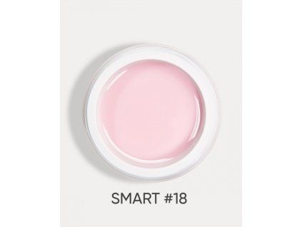 smart 18 2