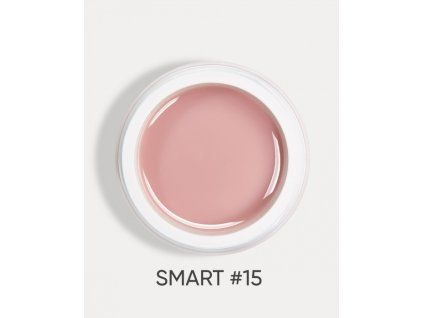 smart 15 1