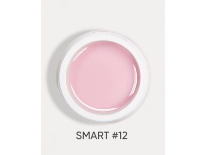 smart 12 2