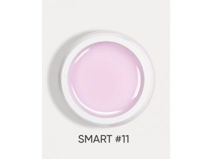 smart 11 1