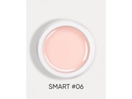 smart 06 1