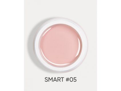 smart 05 1