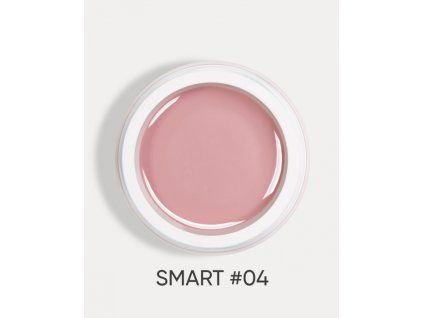 smart 04 2