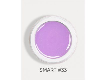 smart 33 1