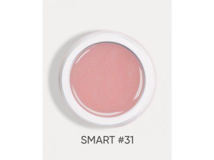 smart 31 1
