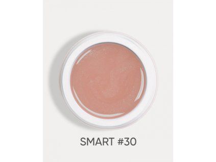 smart 30 1