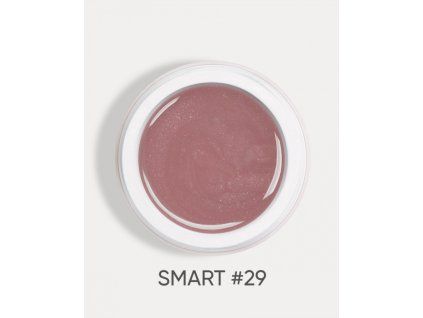 smart 29 1