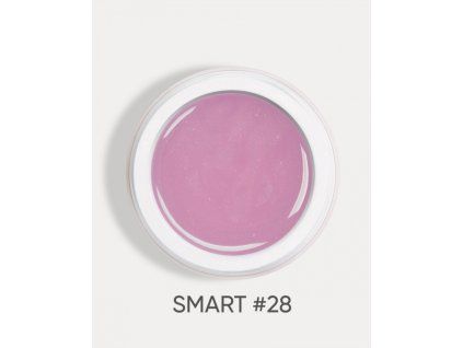 smart 28