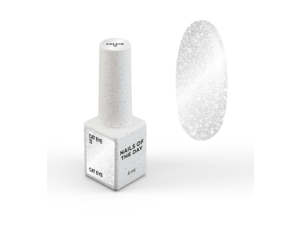 NAILSOFTHEDAY Gel polish Cat Eye 13, 6 ml