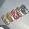 NAILSOFTHEDAY Korean cat eye 12, 10 ml