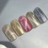NAILSOFTHEDAY Korean cat eye 10, 10 ml