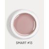 smart 13 3