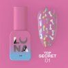 secret01