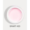smart 20 1