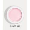 smart 18 2