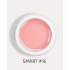 smart 16 1