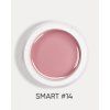 smart 14 2