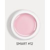 smart 12 2
