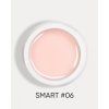 smart 06 1