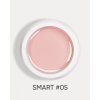 smart 05 1