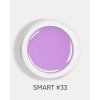 smart 33 1