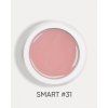 smart 31 1