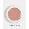 smart 30 1