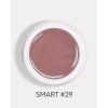 smart 29 1