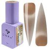 DNKa' Farebný gél lak Cat's Eye Silk 0030 12ml