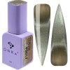 Color Gel Polish "DNKa" Bohemian Cat Eye 17, 12 ml