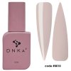 dnka fast gel 0010