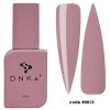 dnka fast gel 0013